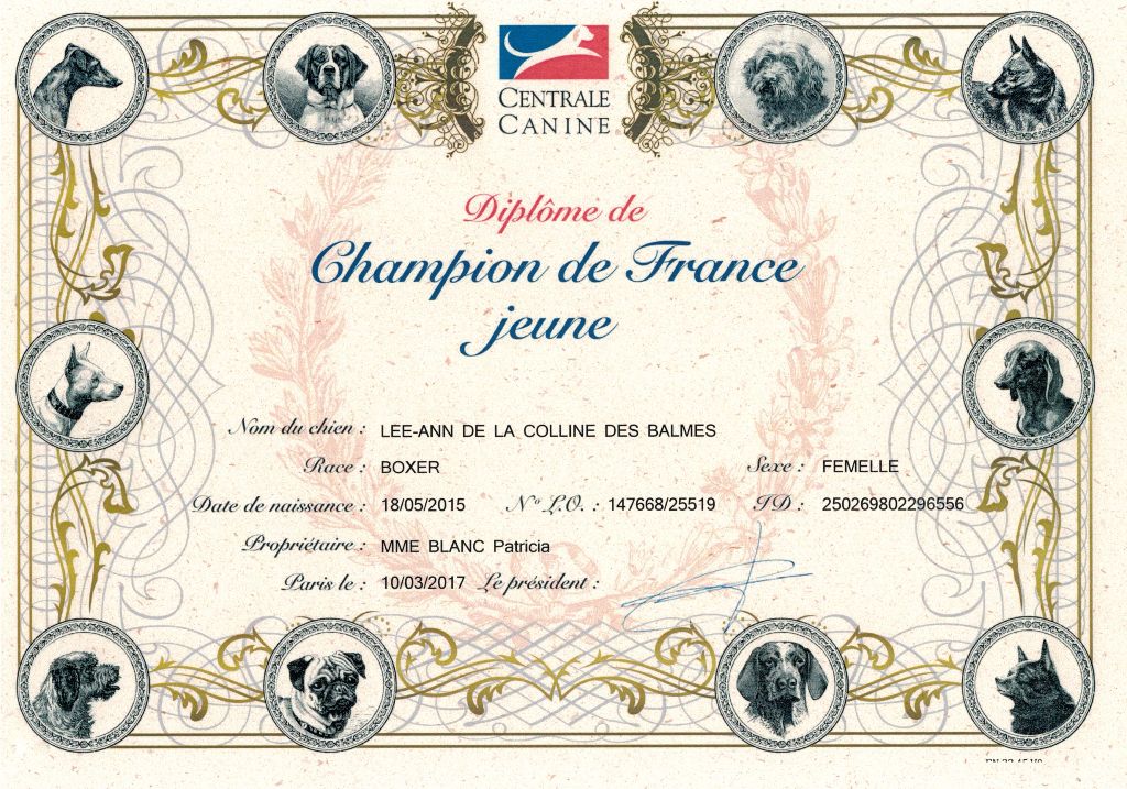 des murmures de l'océan - DIPLOME CHAMPION DE FRANCE 