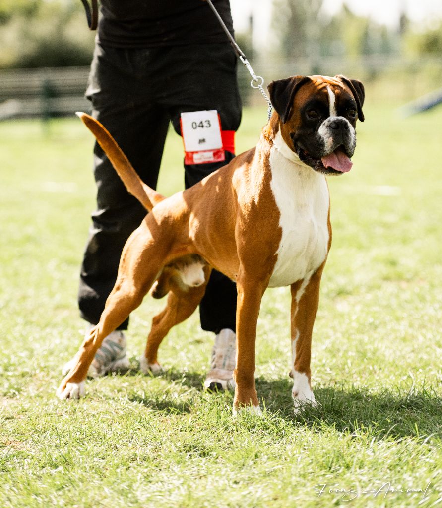 CH. Ty'malo des murmures de l'océan